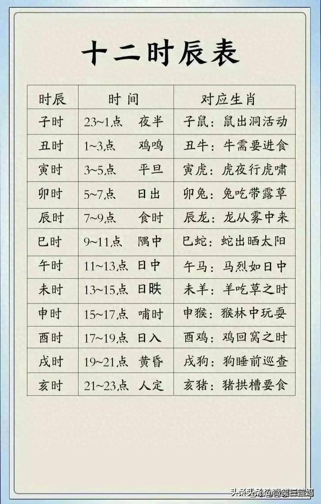 有情有义打一生肖,有情有义在十二生肖指的是什么动物