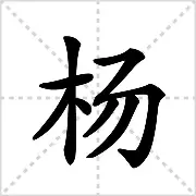 杨卓舒跑了,杨卓舒集资了多少钱