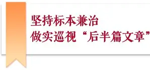 付世全巡视组真的假的,新疆巡视组付世全简历