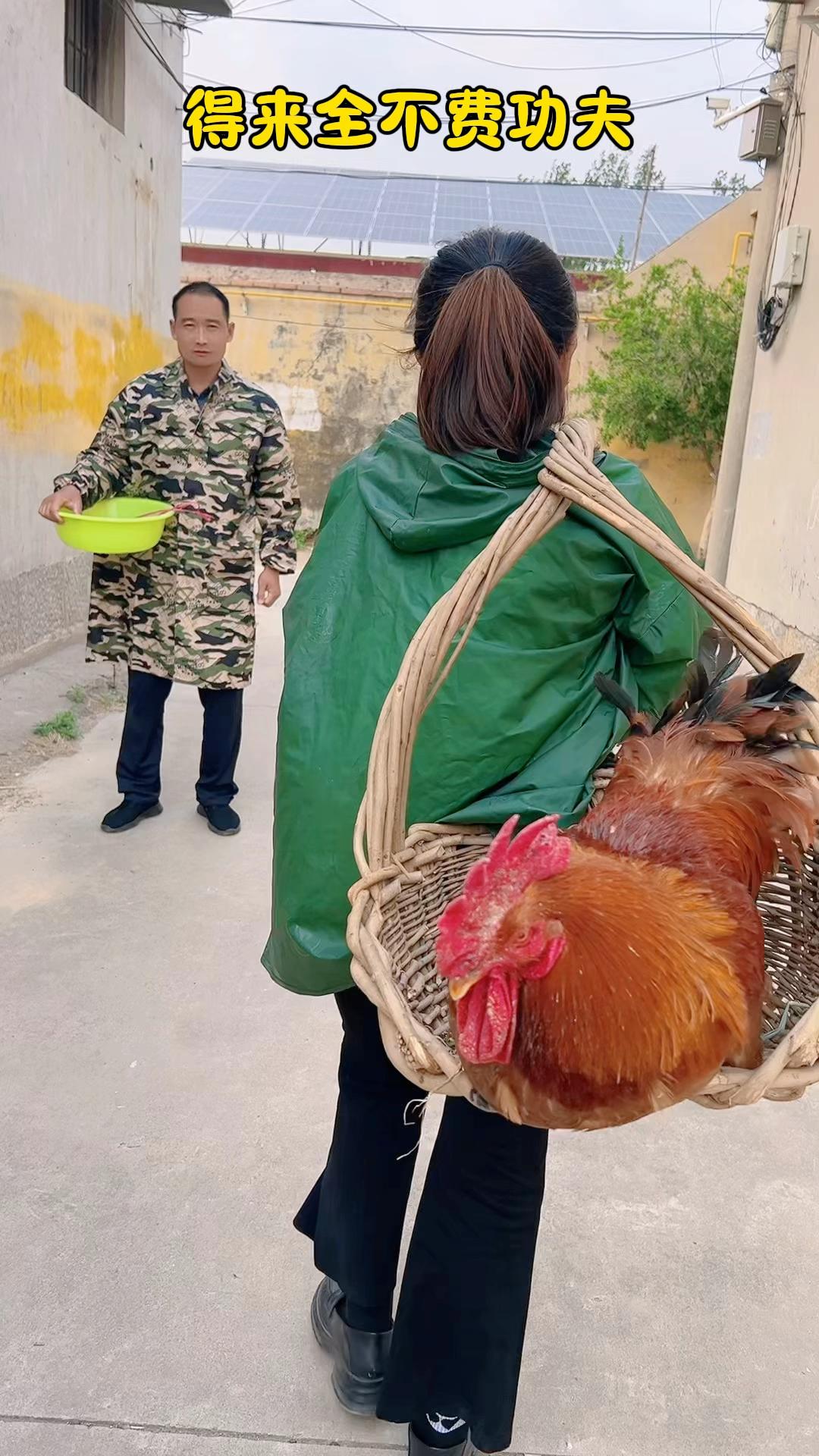 得来全不费工夫,得来全不费工夫的上一句怎么说踏破草鞋无觅处