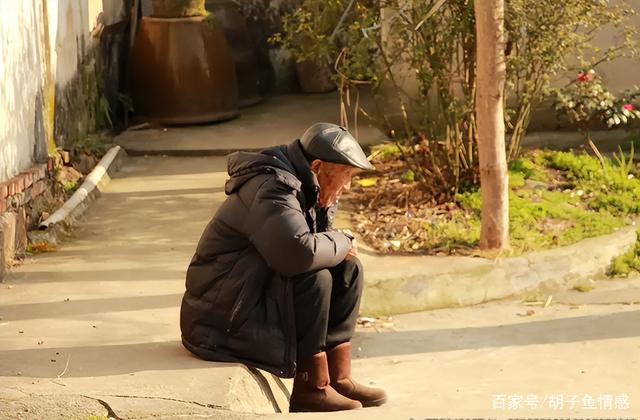 独居老人,独居老人把300万送给水果摊新闻视频