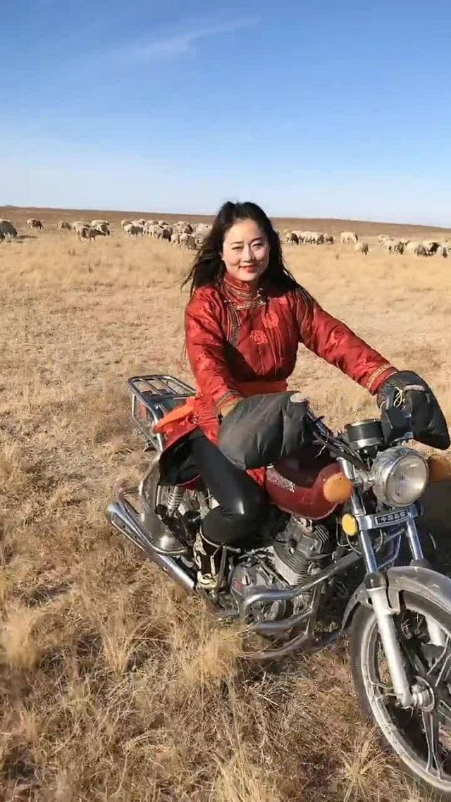 内蒙古美女,内蒙古美女头像