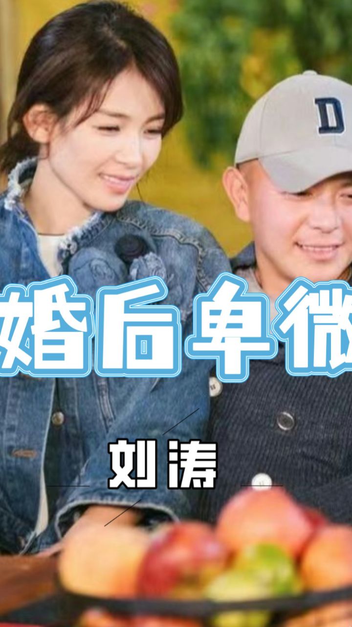 刘涛的老公,刘涛的老公的照片