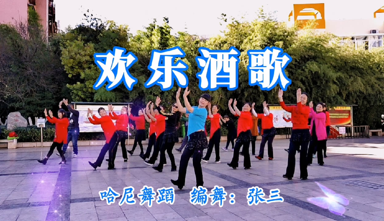 广场舞酒歌,糖豆广场舞全部完整下载