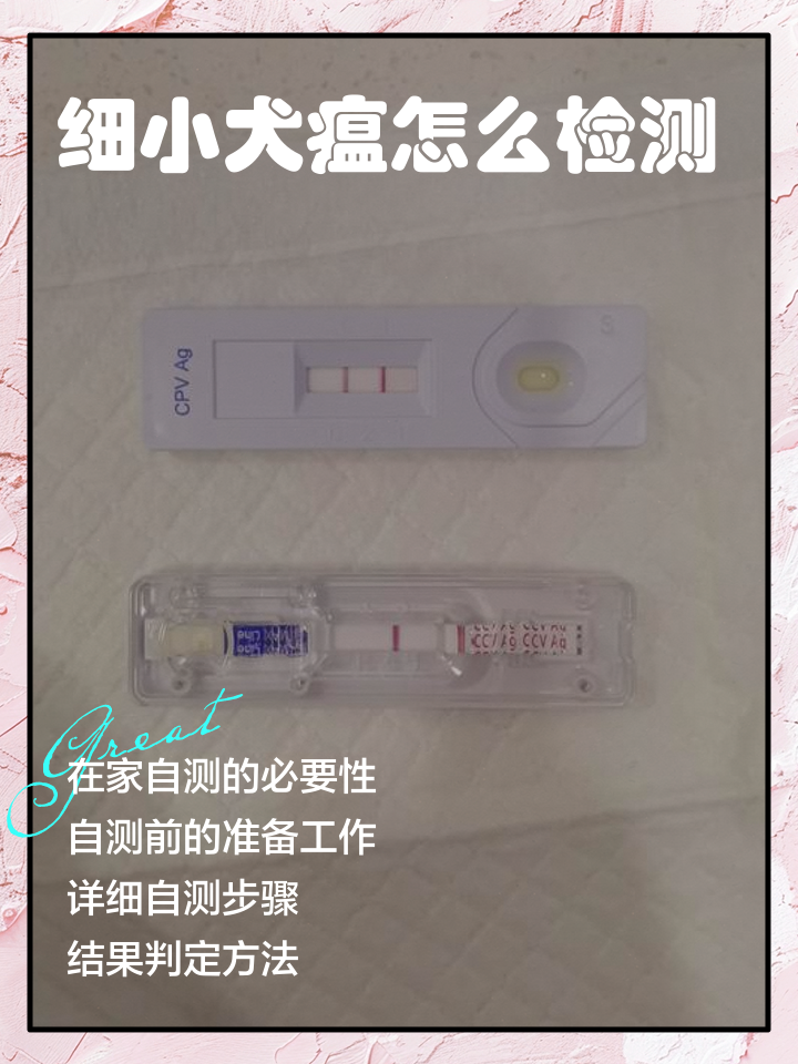 犬瘟细小,犬瘟细小还有一个是什么