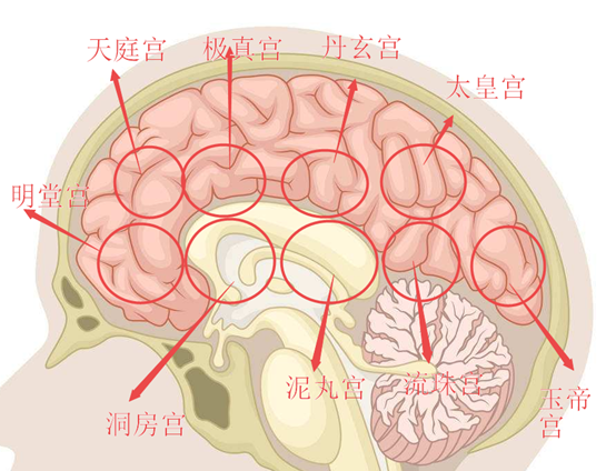 泥丸宫在什么位置,人体泥丸宫在什么位置