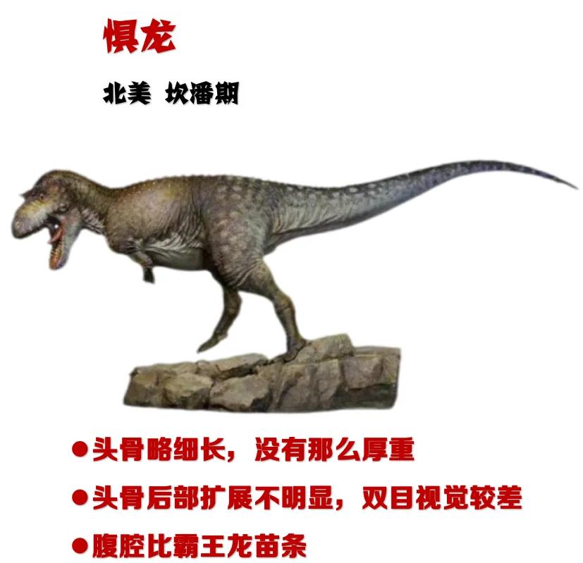 霸王龙资料,霸王龙资料400字