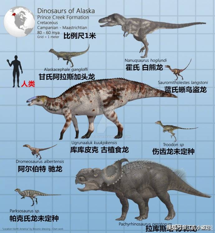 霸王龙资料,霸王龙资料400字