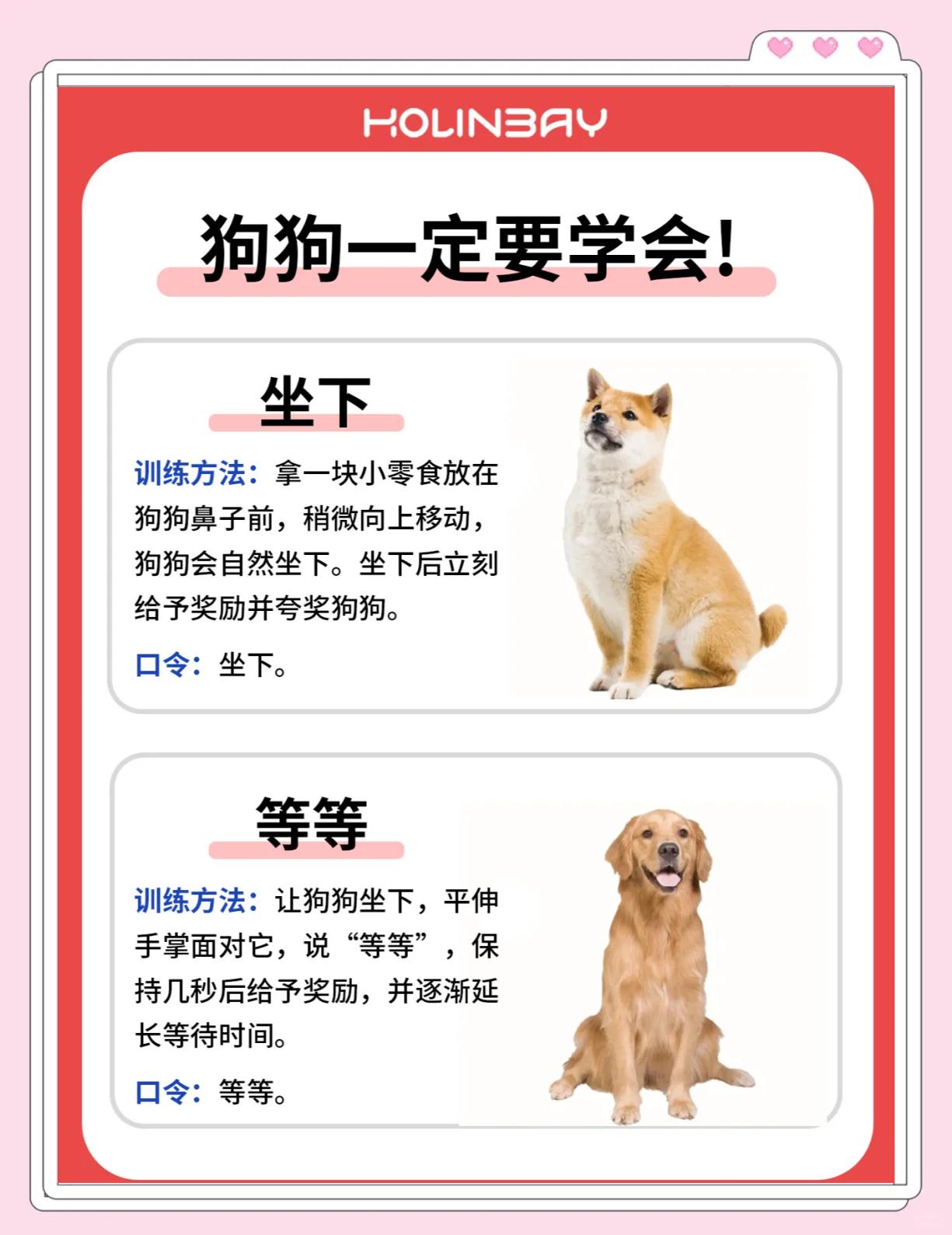 训狗的口令及手势图解,训狗口令该怎么制定