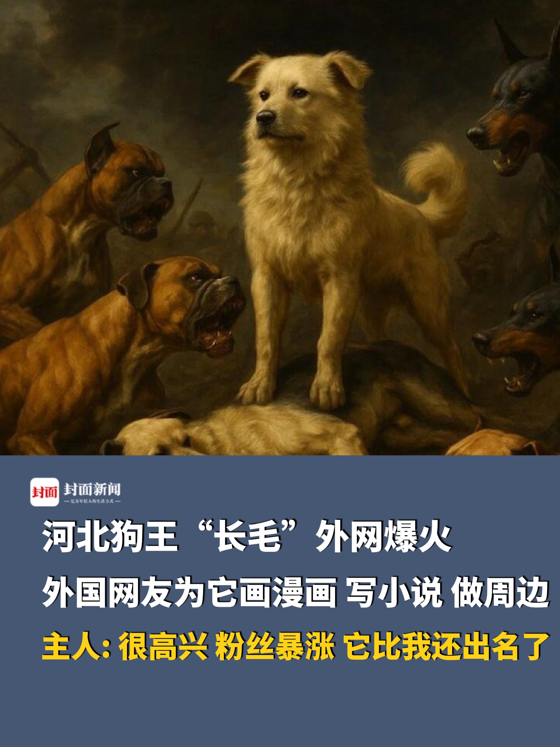 狗王,狗王sk