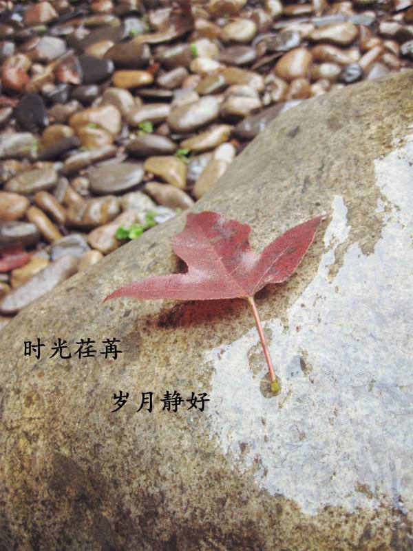 时光荏苒什么意思,时光荏苒最佳下一句