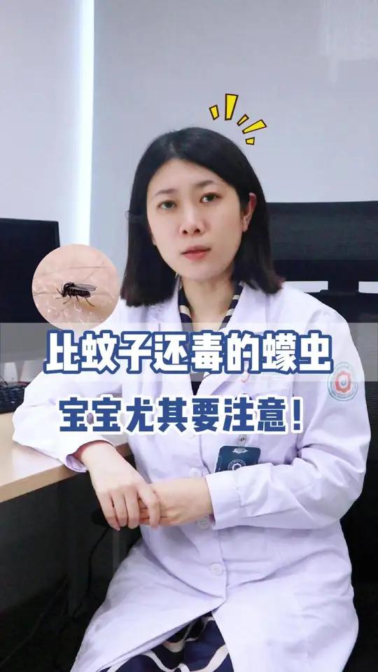 黑蚊子多,黑蚊子是什么品种