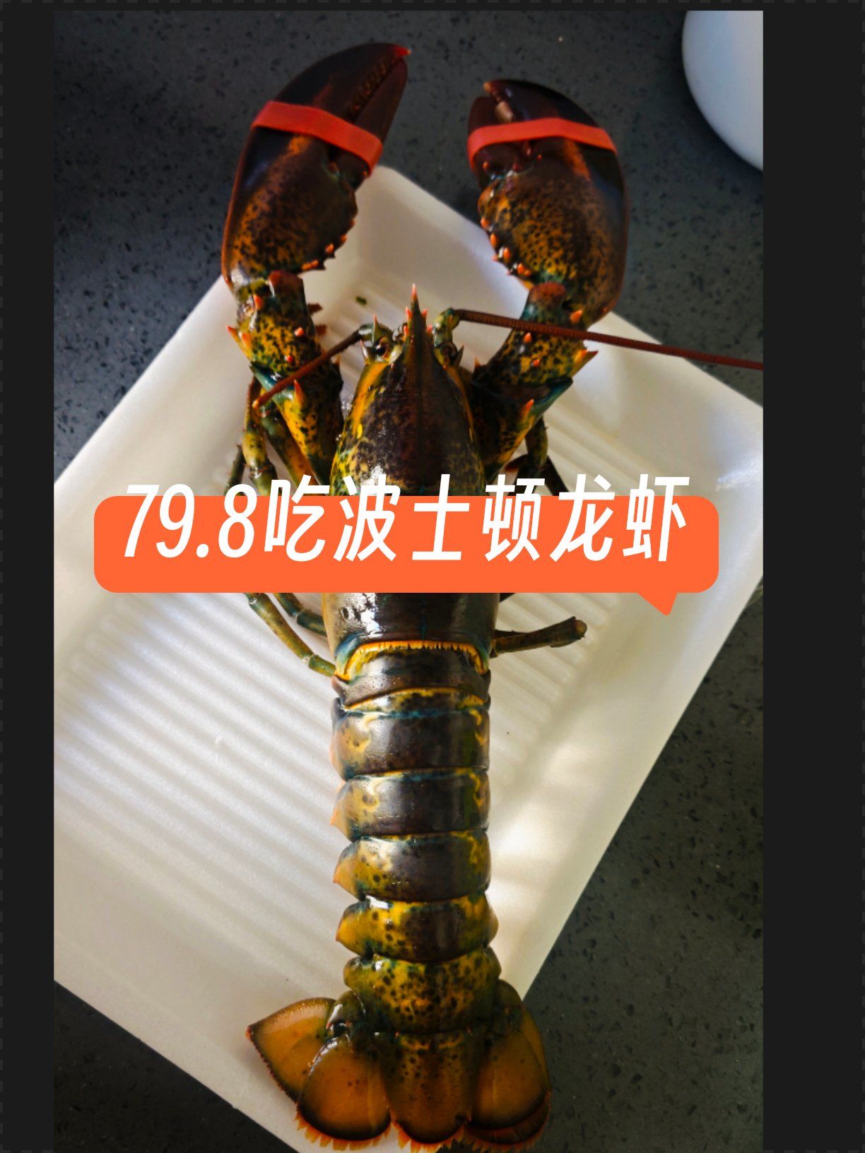 波士顿龙虾,波士顿龙虾怎么保存