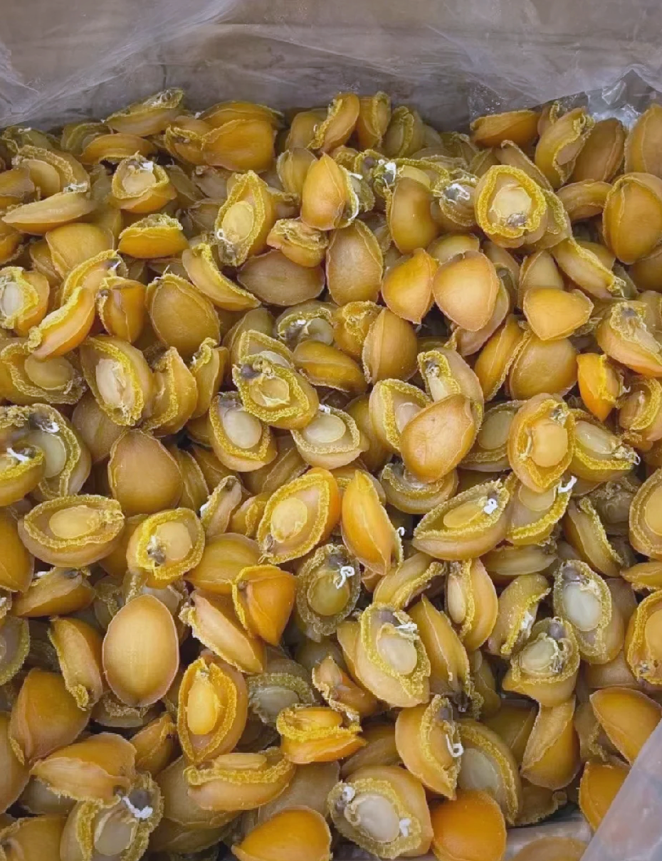 干鲍鱼怎么吃,干鱿鱼的10种最佳吃法