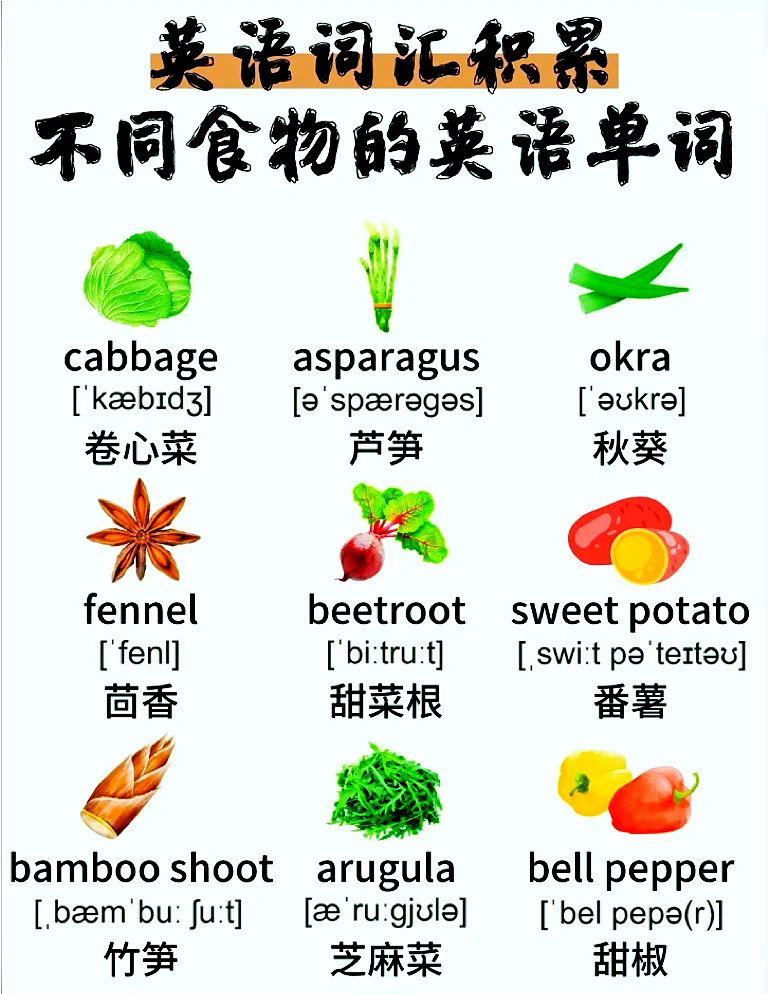 蔬菜英语单词,100种常见蔬菜英语单词