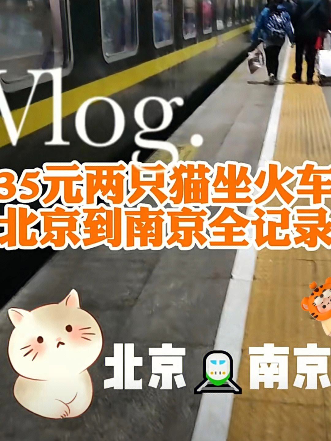 宠物可以带上火车吗,12306宠物托运价格表