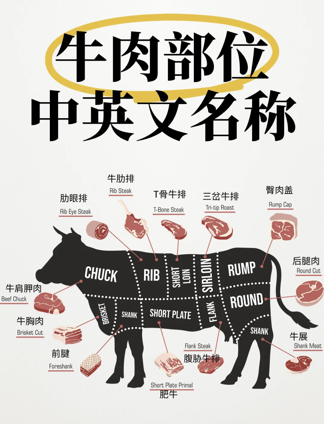 牛肉用英语怎么说,牛肉用英语怎么说beef
