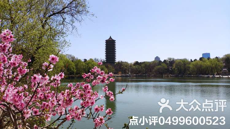 未名湖在哪个大学,北大未名湖的唯美句子