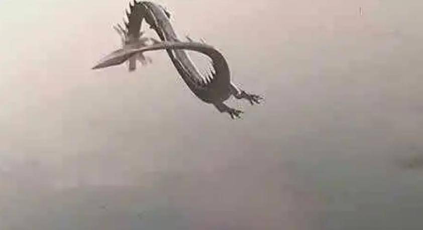 营口坠龙之谜,营口坠龙事件电影免费观看