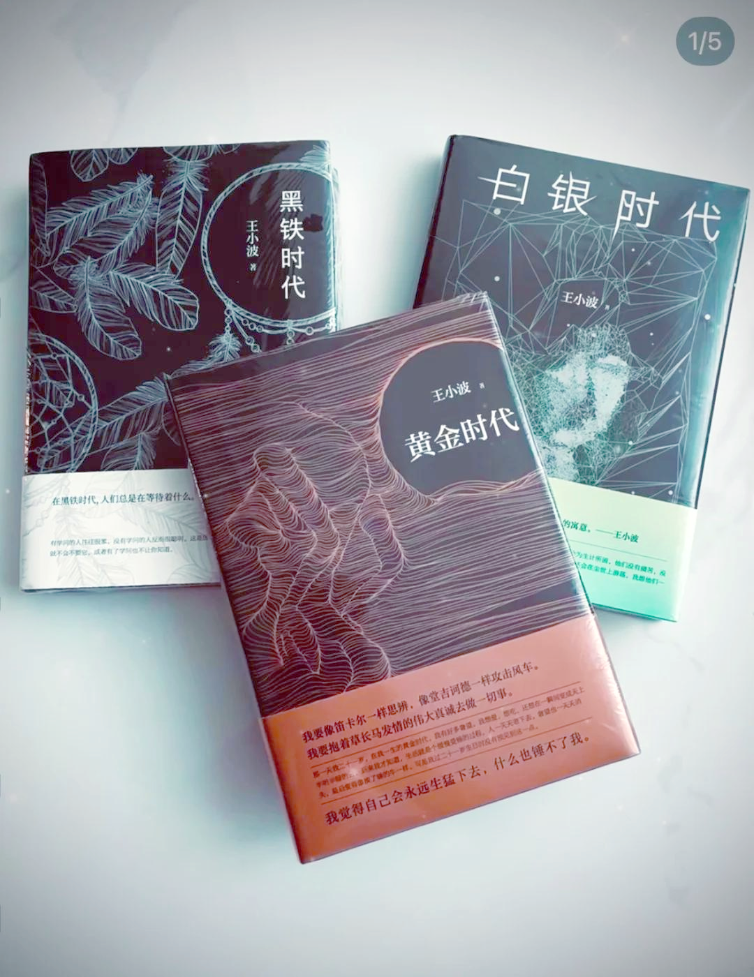 李银河王小波床第之时,王小波三部曲