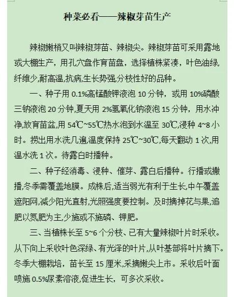 辣椒种子催芽方法,辣椒种子催芽方法有哪些