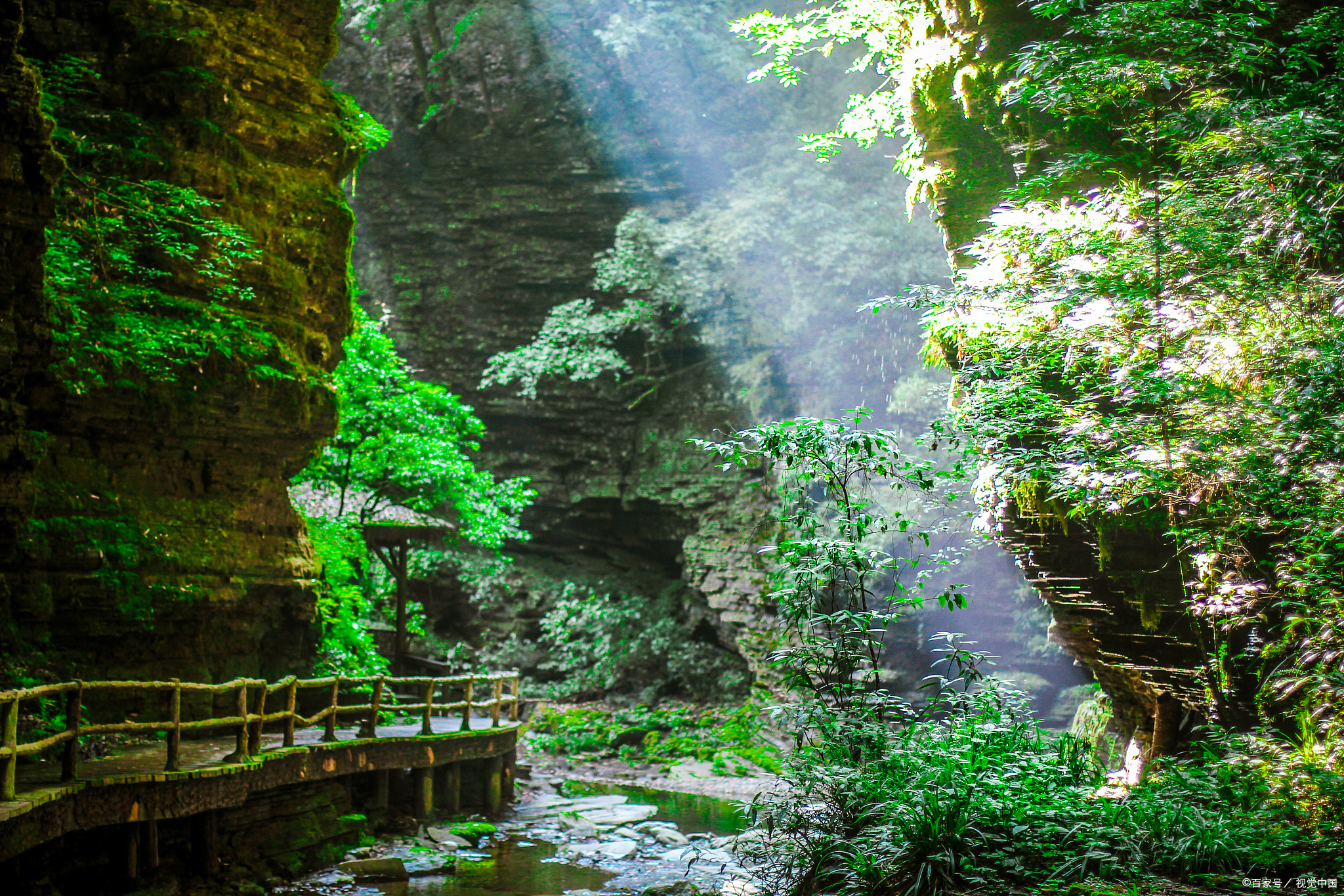张家界大峡谷,张家界大峡谷在哪