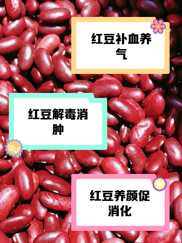 ndp红豆是什么意思,红豆的副作用和危害