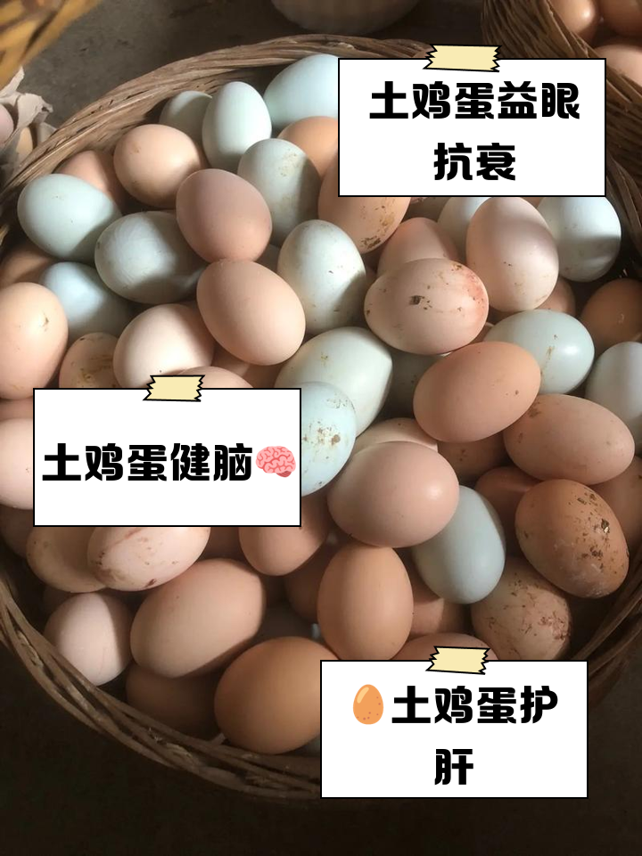 笨鸡蛋多少钱一斤,笨鸡蛋市场价多少钱一个