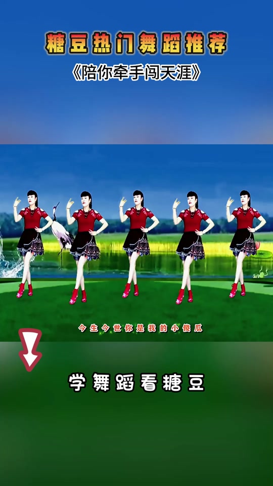 美美哒广场舞32步糖豆,下载糖豆广场舞免费教学