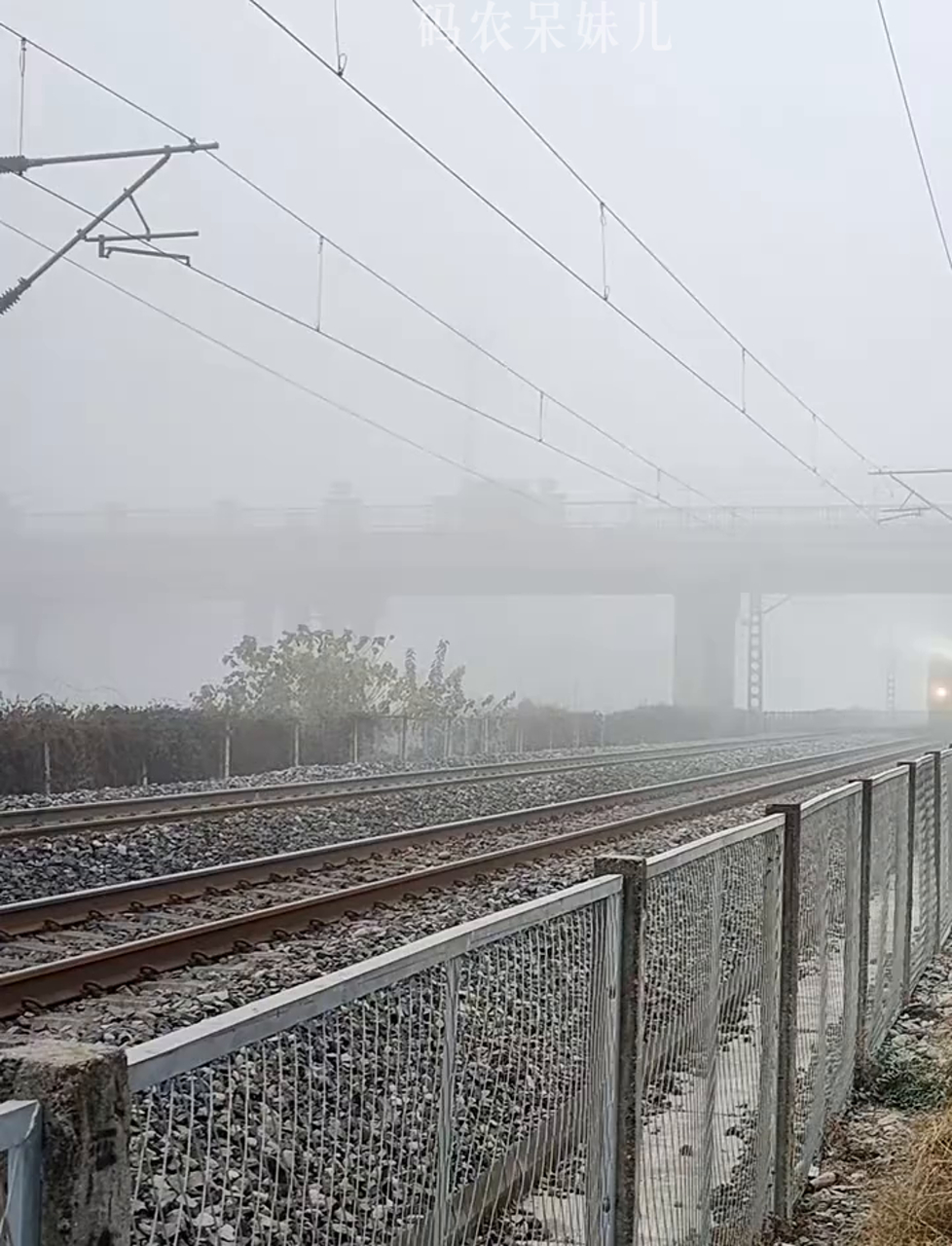 宝成铁路客车停运,宝成铁路为什么停运了