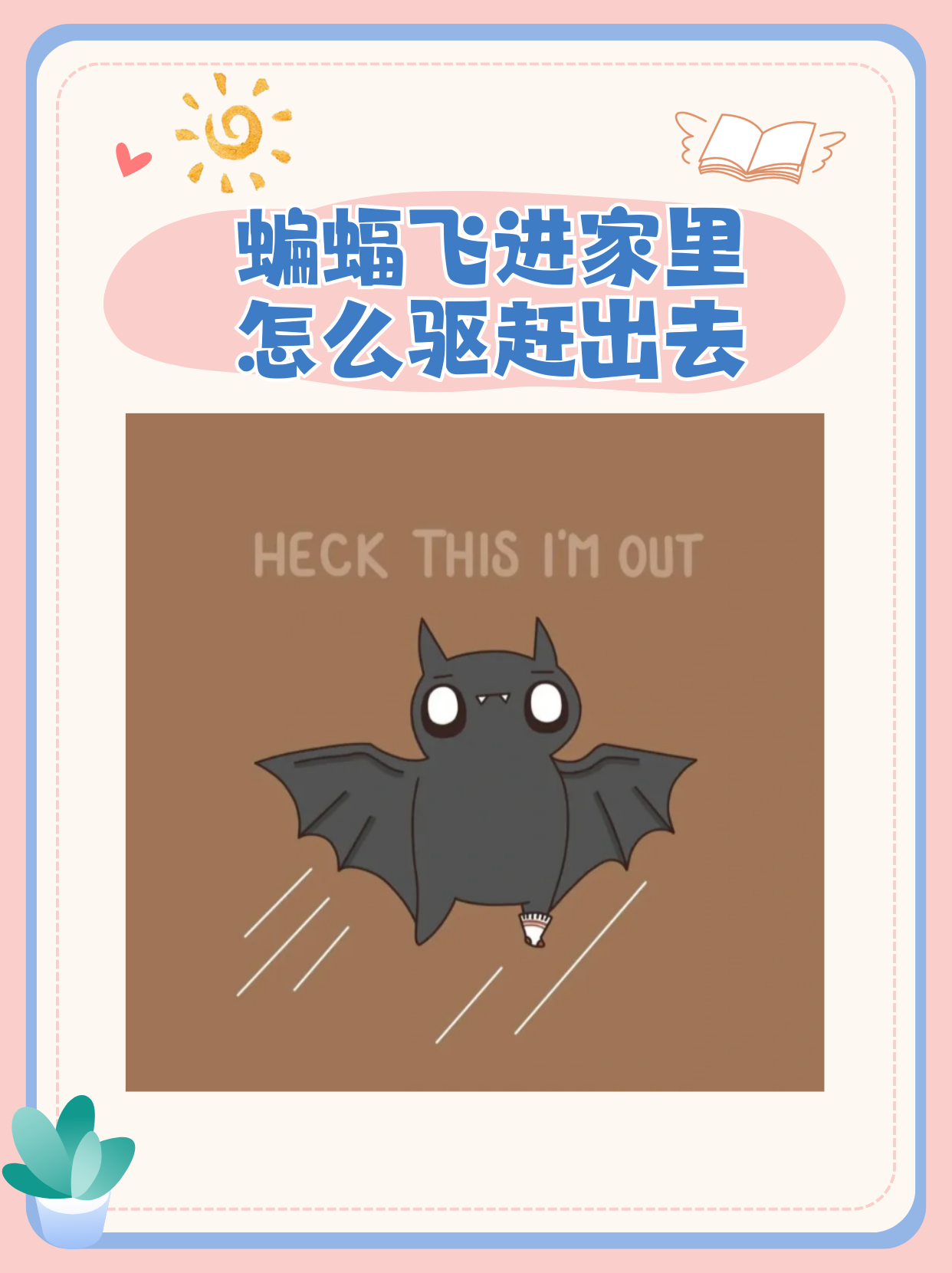 蝙蝠进屋有什么预兆,家里有蝙蝠是吉是凶