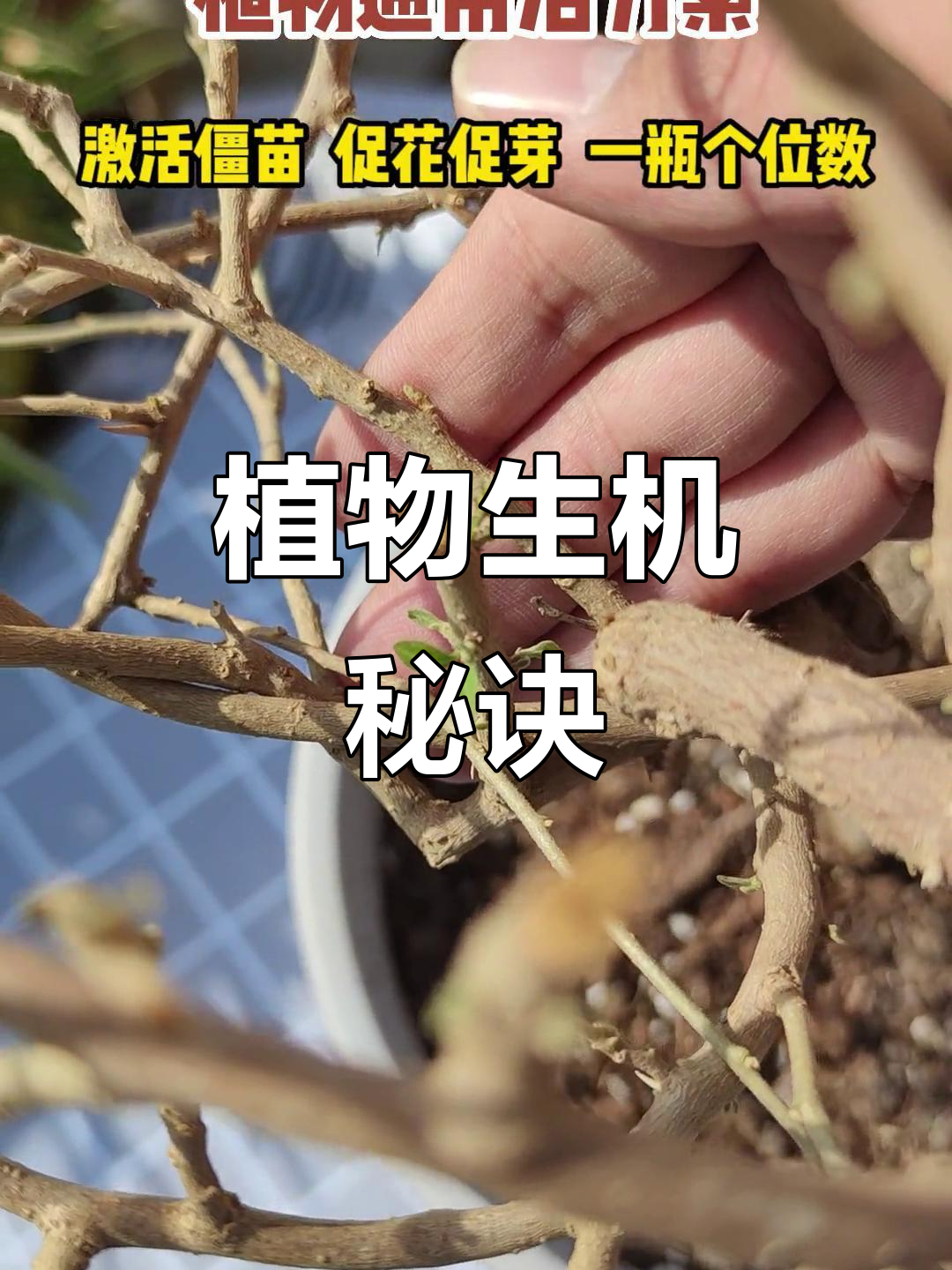 焕发生机,大河奔流不息,在流动中焕发生机