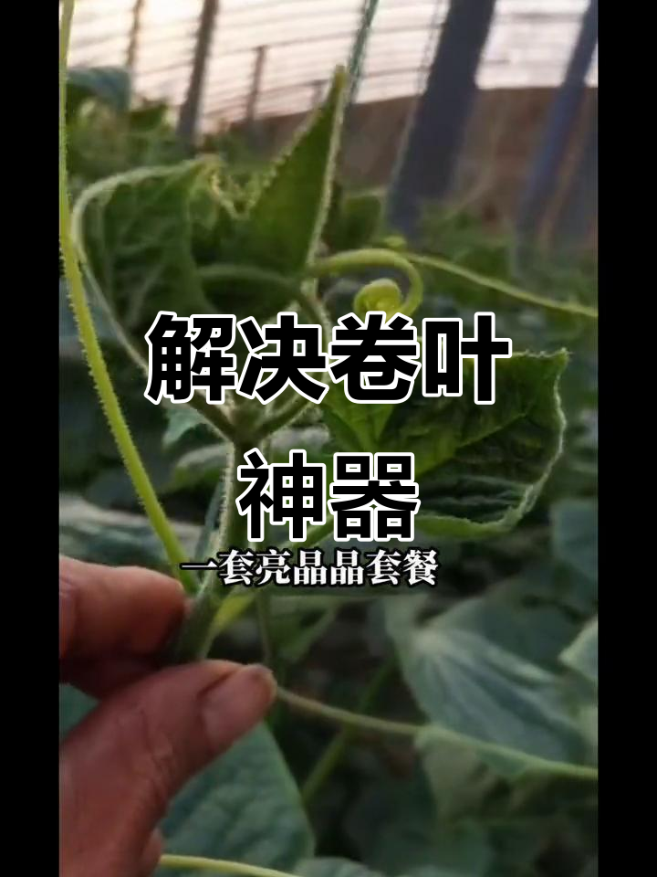 焕发生机,大河奔流不息,在流动中焕发生机