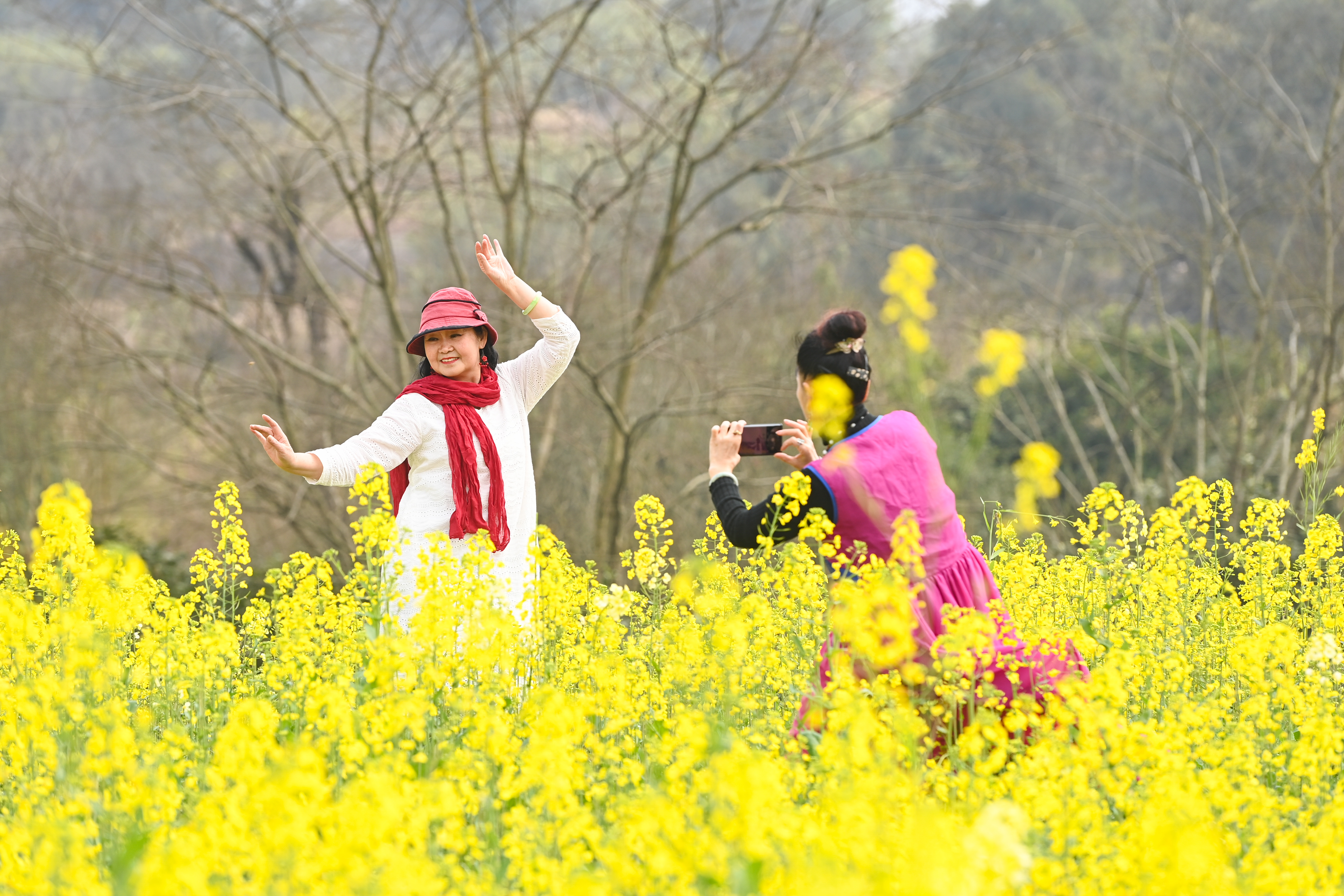 油菜花广场舞,油菜花开广场舞视频