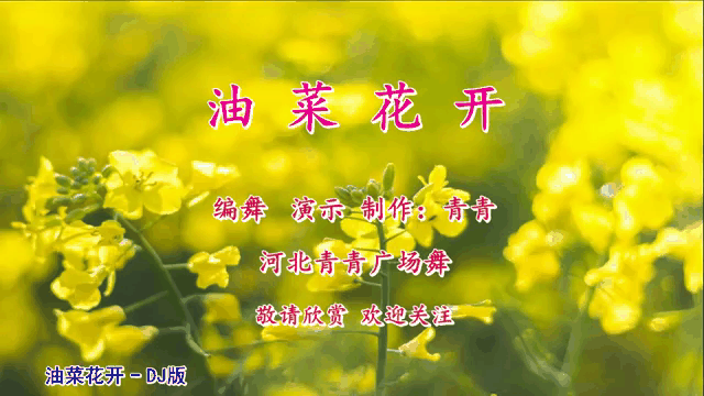 油菜花广场舞,油菜花开广场舞视频