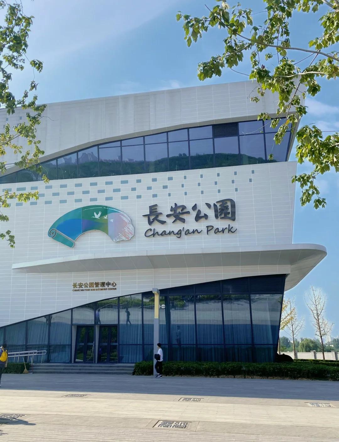 长安公园,长安公园事件真相