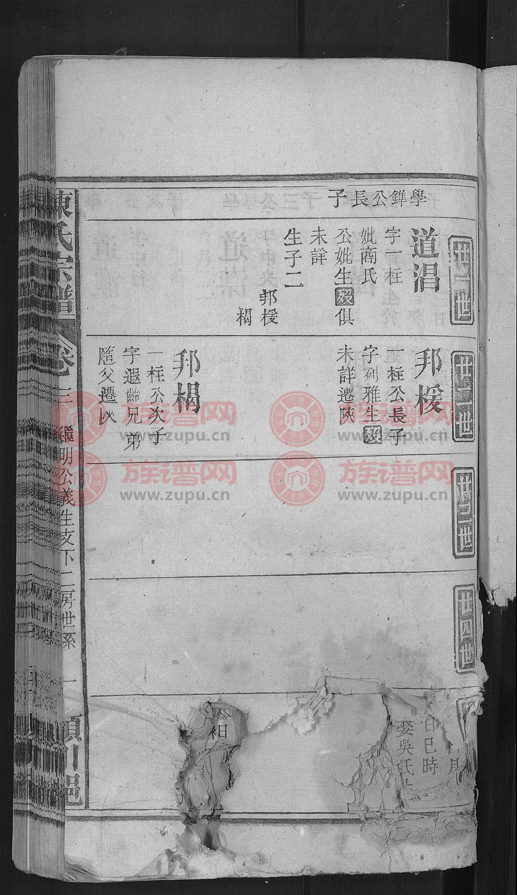 颖川陈氏族谱字辈,颖川陈氏族谱字辈查询方式