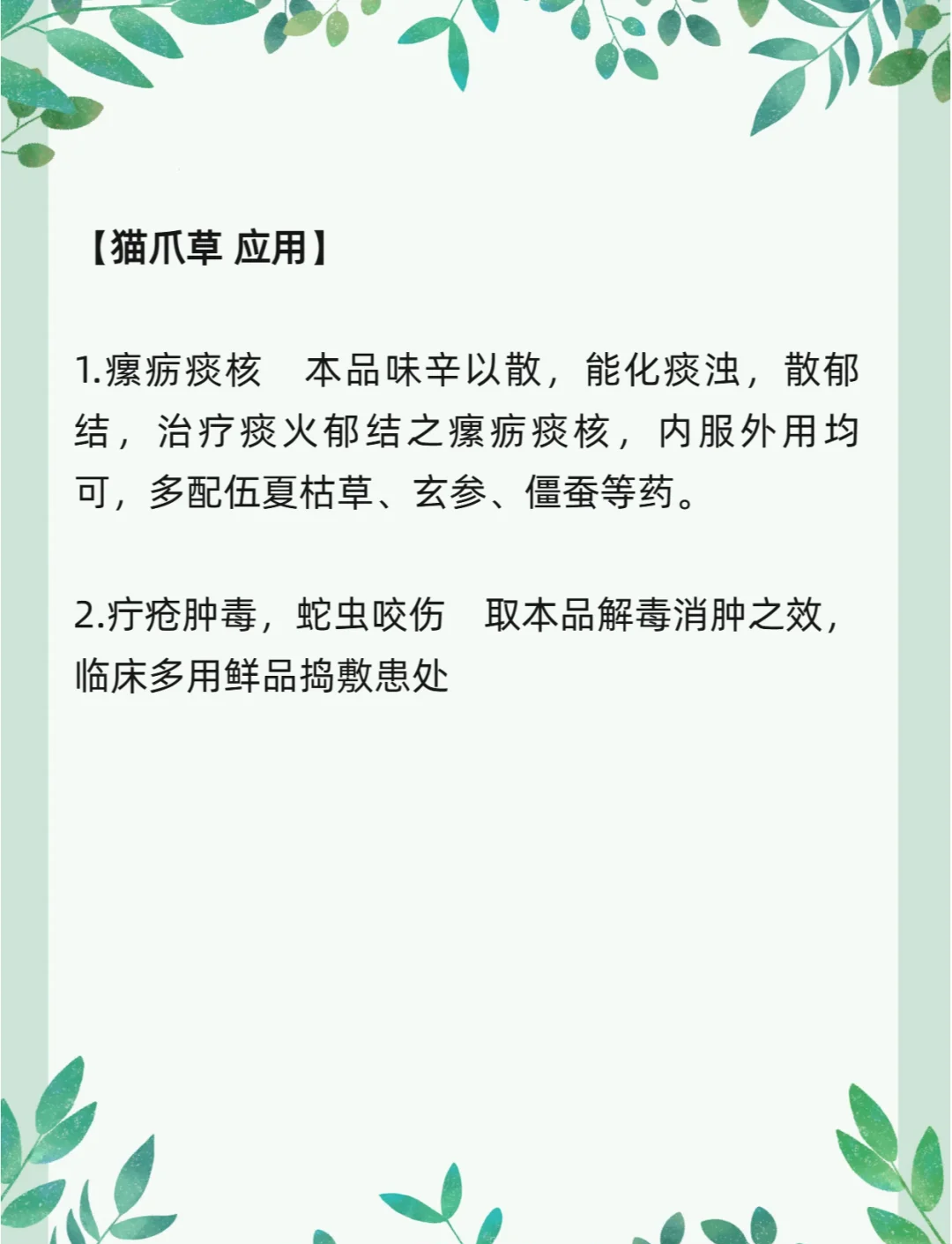 猫草的作用,猫咪吃猫草的作用和功效