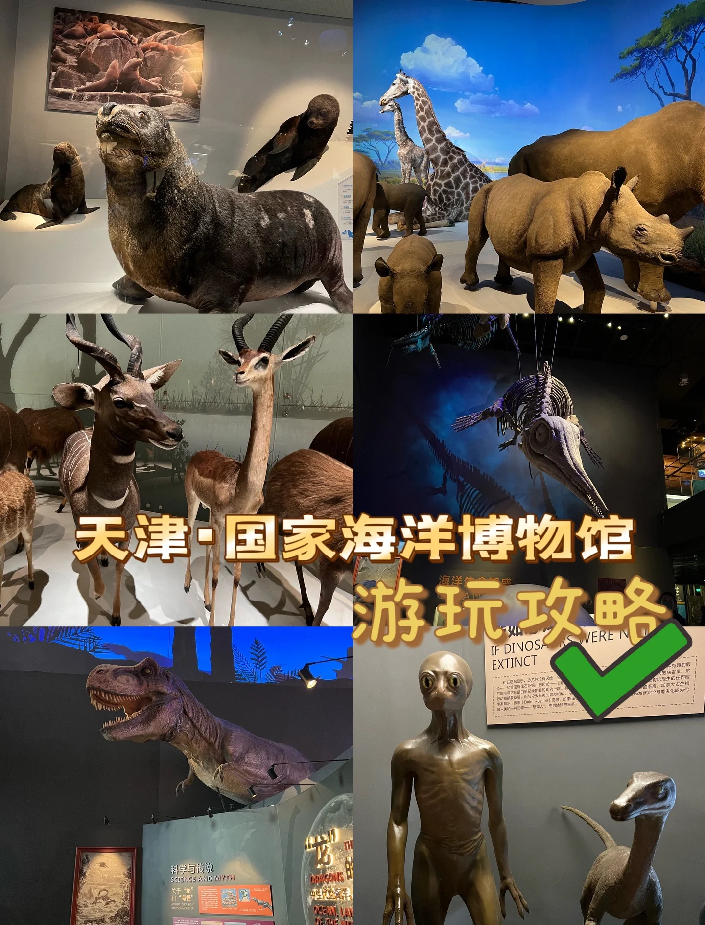 天津海洋博物馆预约,天津海洋博物馆预约的下午,上午可以去吗