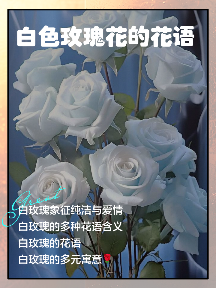 白玫瑰歌词含义,白玫瑰歌曲表达了什么