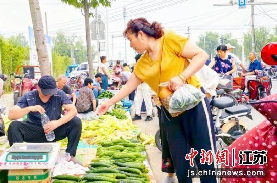睢宁新闻网,睢宁双沟新闻网