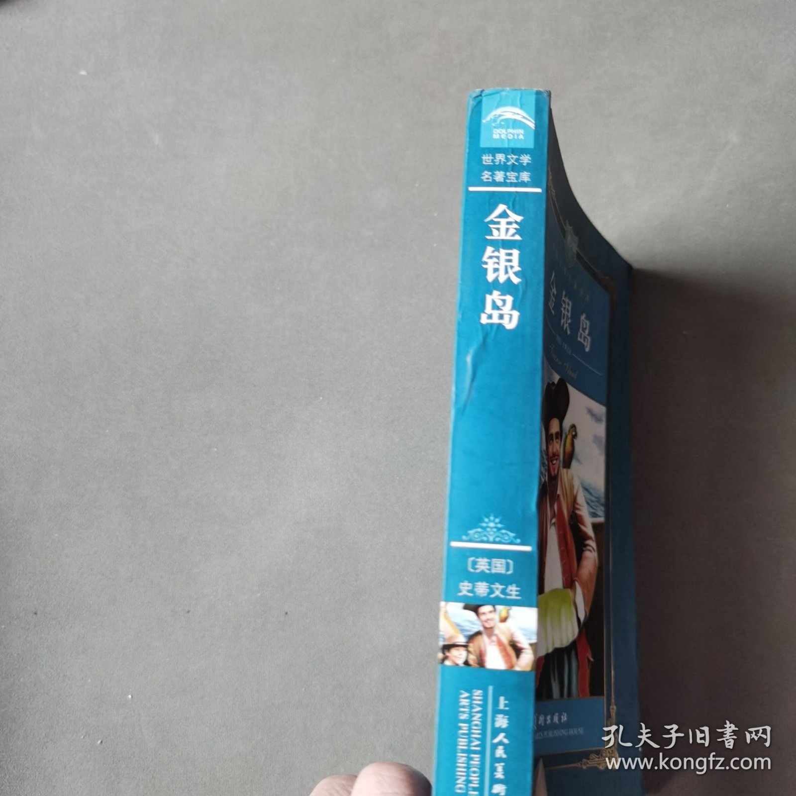 金银岛小说,金银岛小说下载