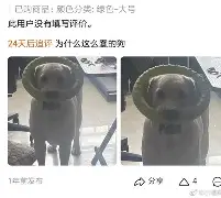 阿尤和蠢哥为什么分手,唯一打败麦克阿瑟的人