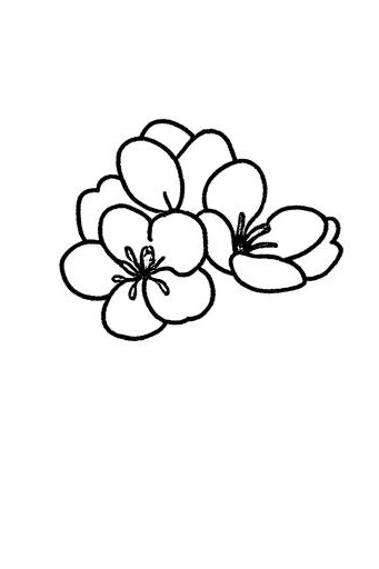 樱花简笔画图片,樱花简笔画图片彩色