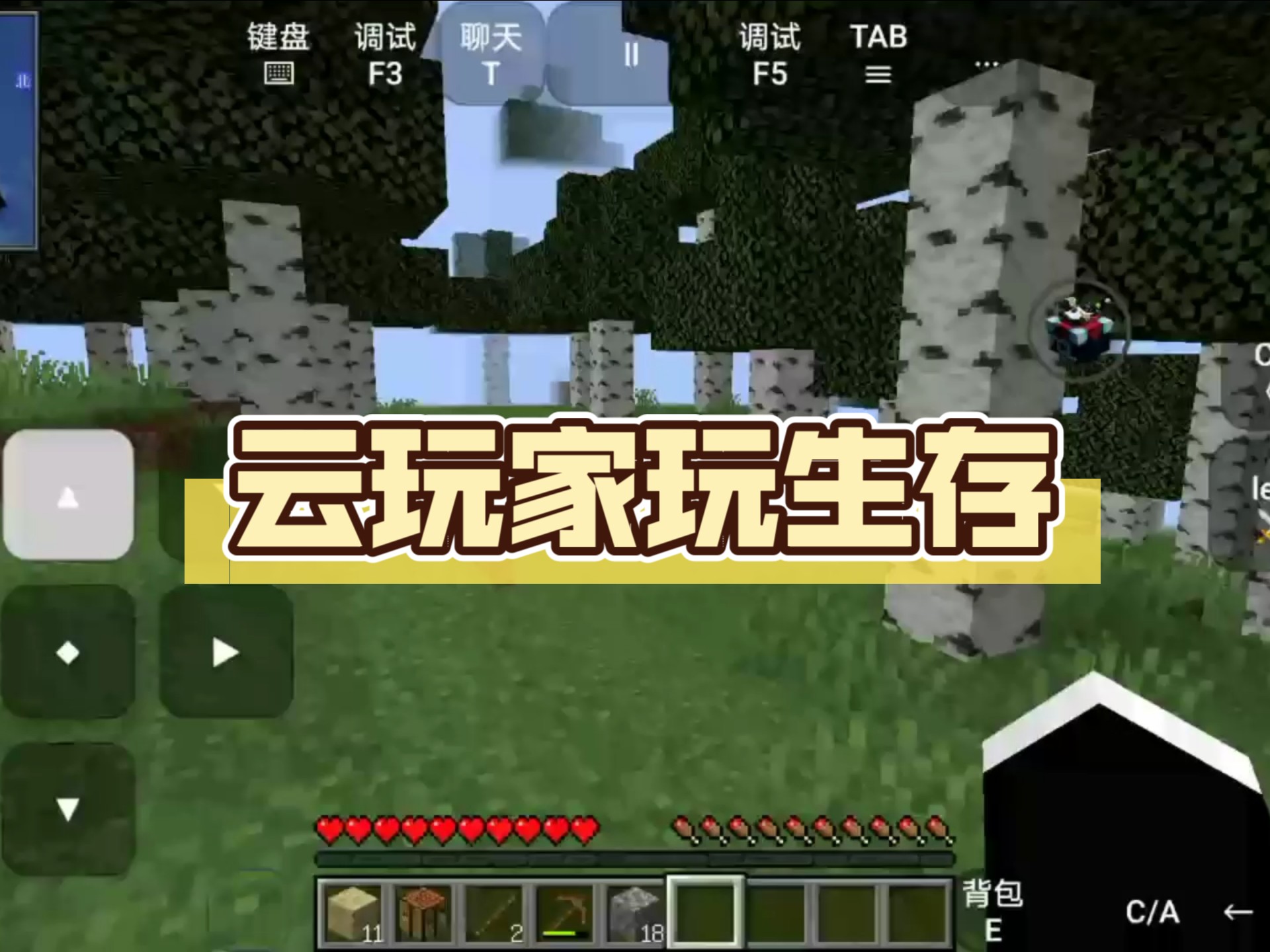 云玩家,云玩游戏入口