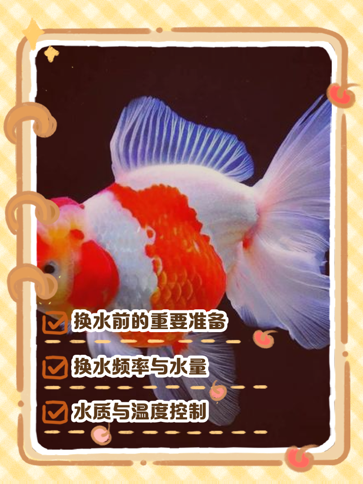 金鱼繁殖方法视频教程,普通小金鱼产卵的视频教程