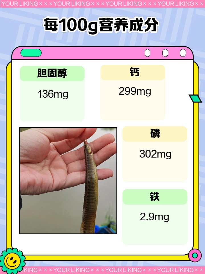 泥鳅的做法与功效,泥鳅尽量少吃最好不吃