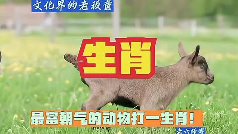 肥猪拱门打一生肖,肥猪拱门猜生肖