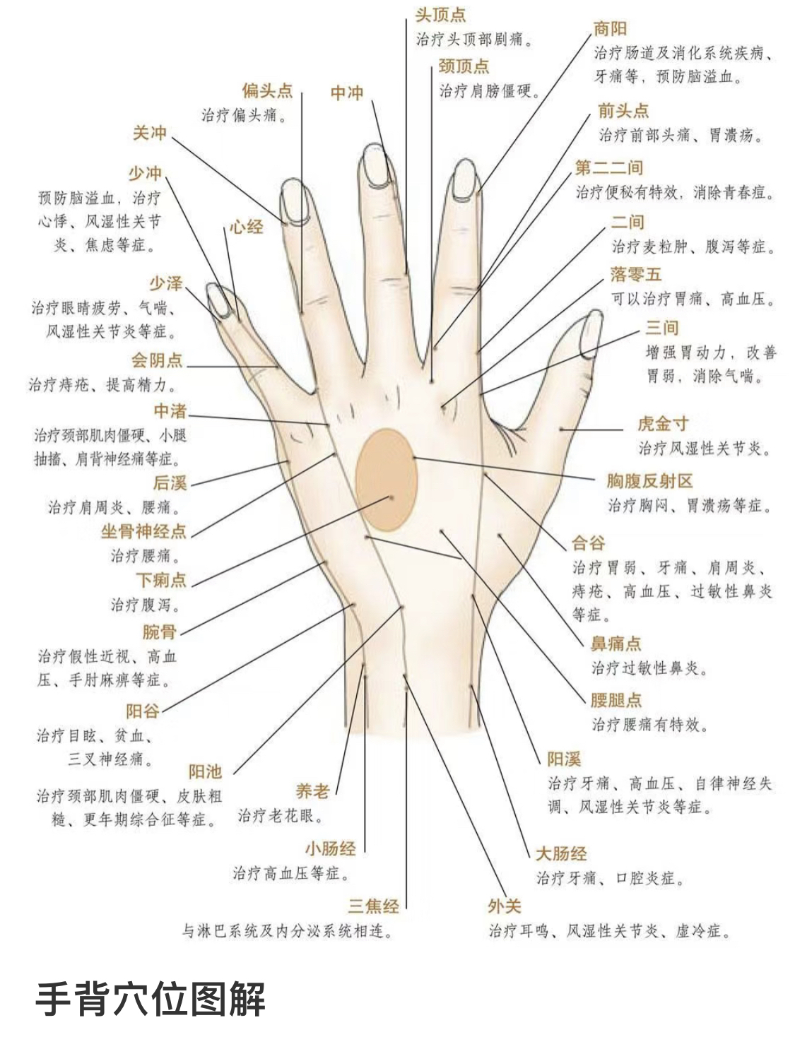手掌穴位图及按摩方法的简单介绍