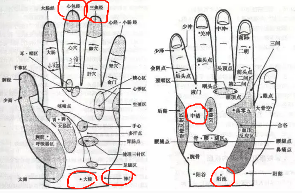 手掌穴位图及按摩方法的简单介绍